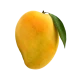 مانجو